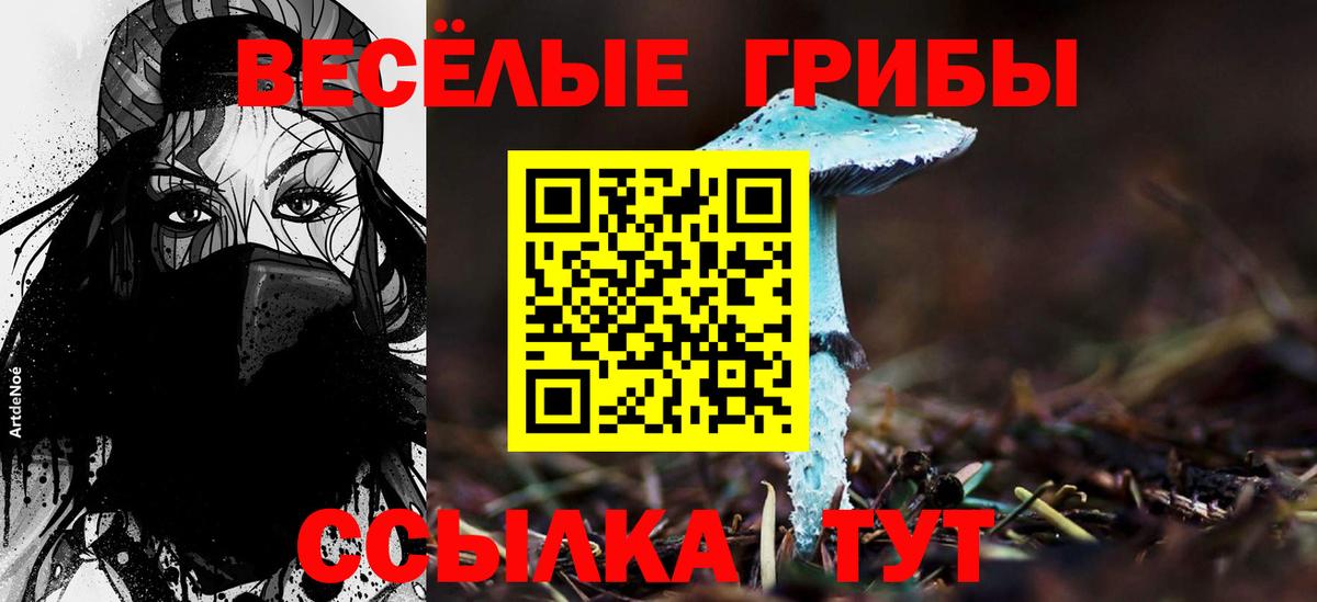 Псилоцибиновые грибы мухоморы  Вход с VPN  Конаково 